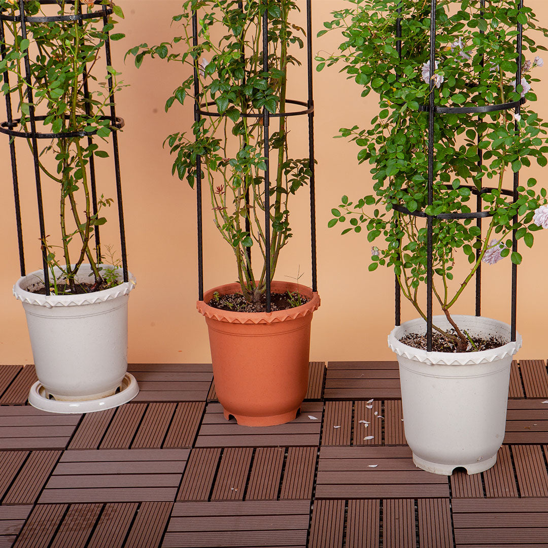 Plant Frame Trellis