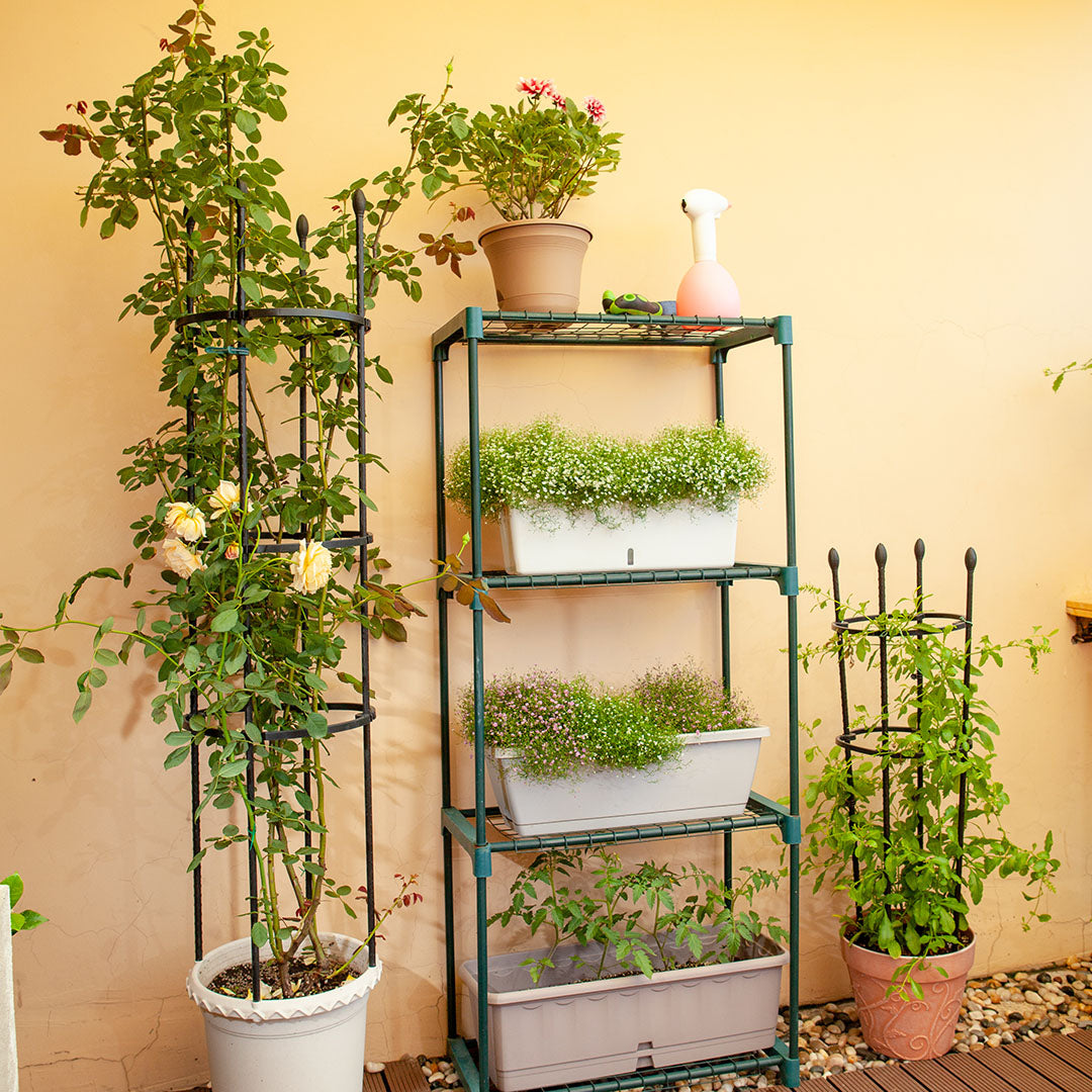 Plant Frame Trellis