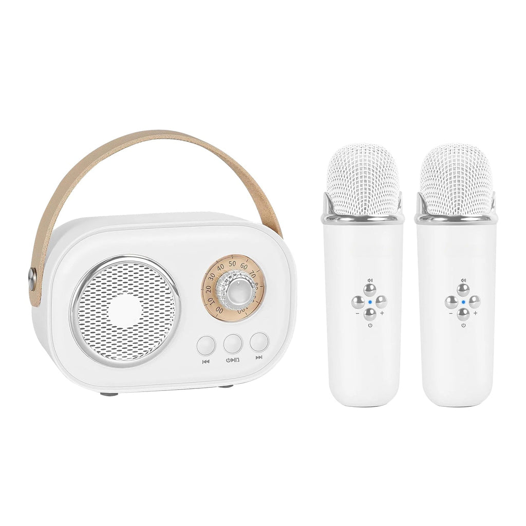 Portable KTV Set