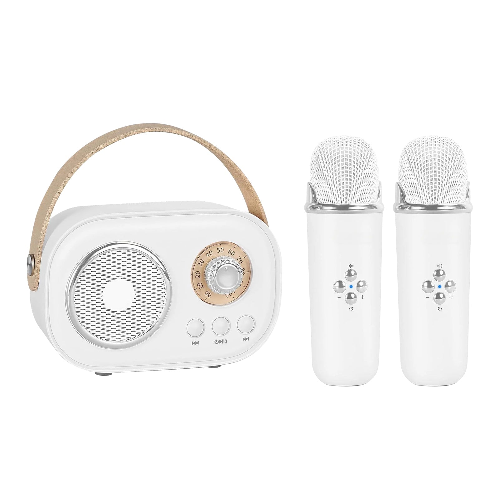 Portable KTV Set