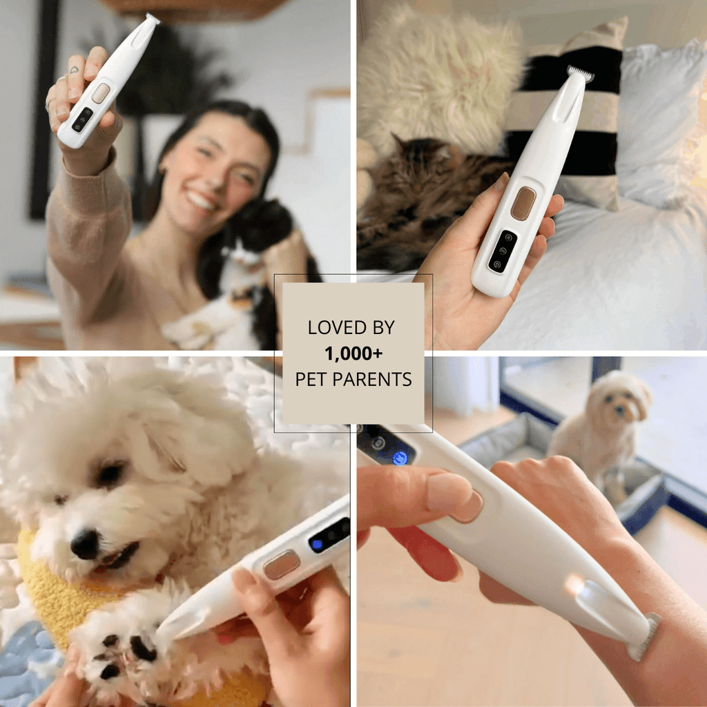 Electric Fur Trimmer