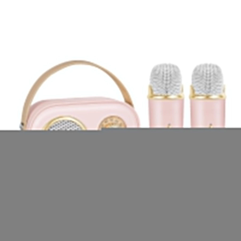 Portable KTV Set