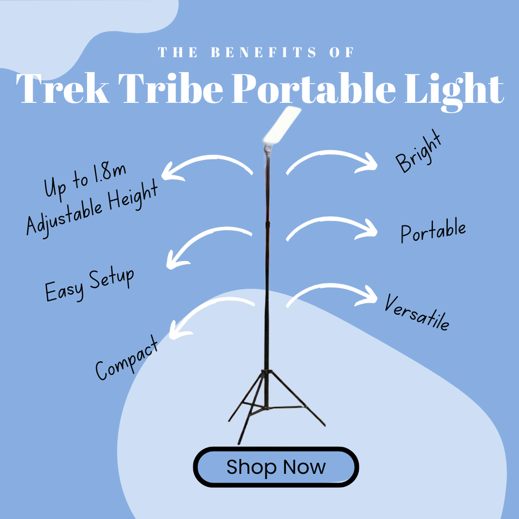 Portable Tripod Light