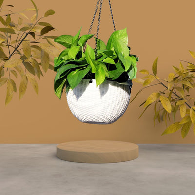 Hanging Garden Pots 2-Pack