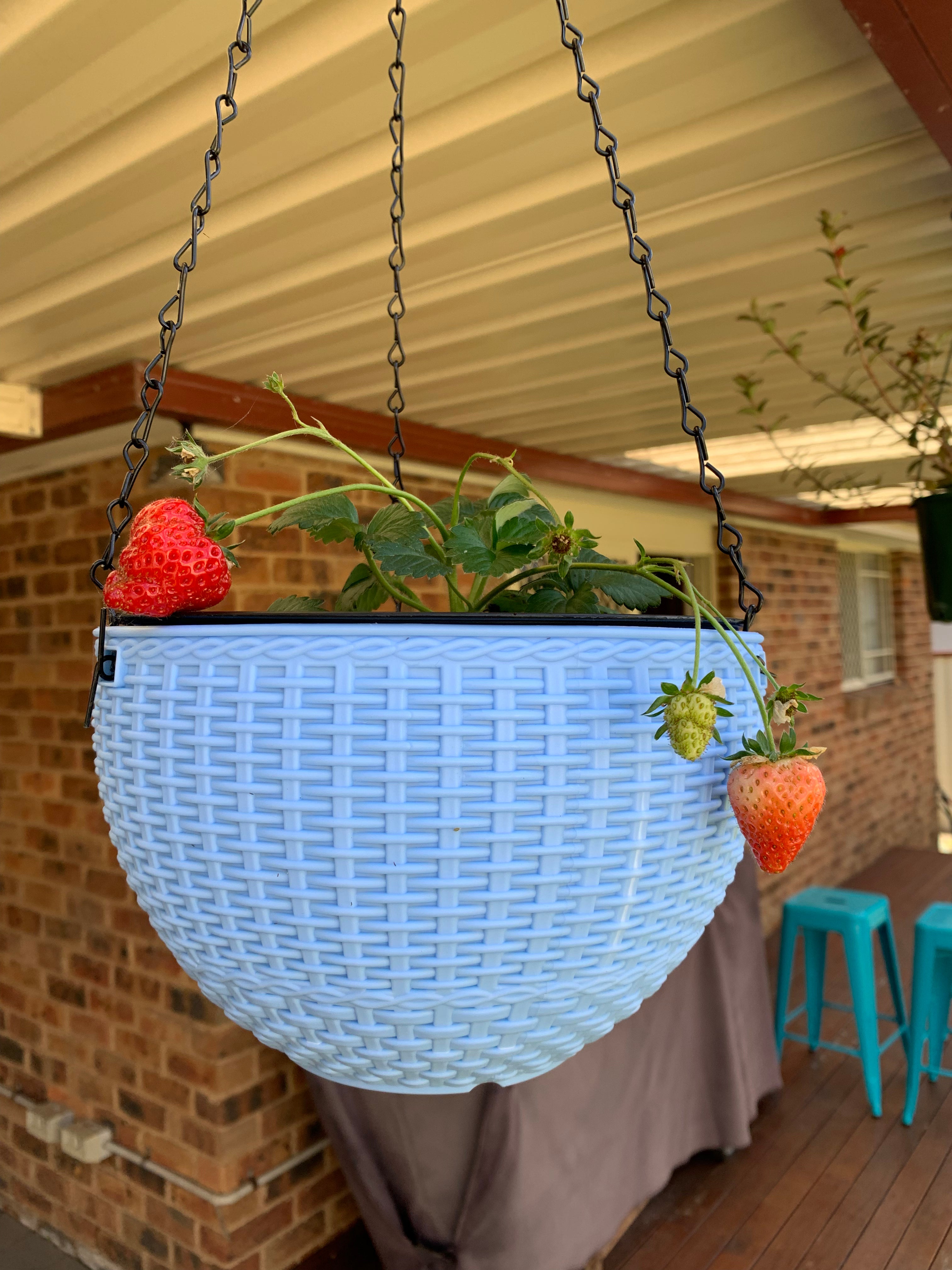 Hanging Garden Pots 2-Pack