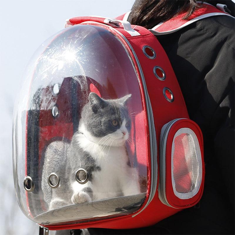 Outdoor Pet Carrier Backpack