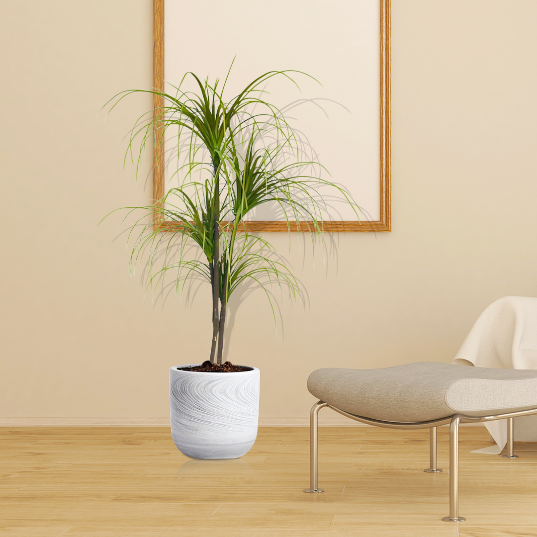 SOGA 4X 150cm Artificial Dracaena Plant Fake Potted, Simulation Tree Fake Plant Home Decor
