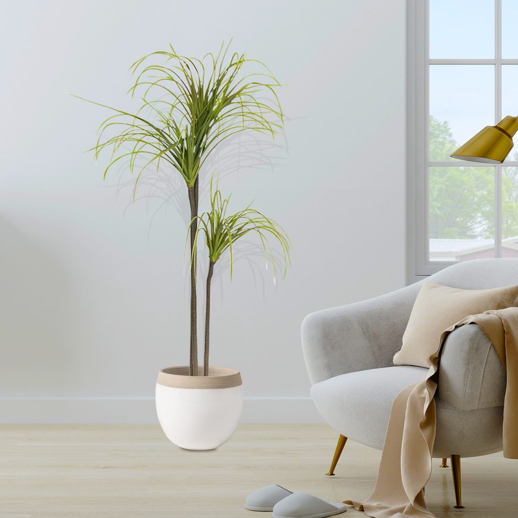 Artificial Dracaena Plant