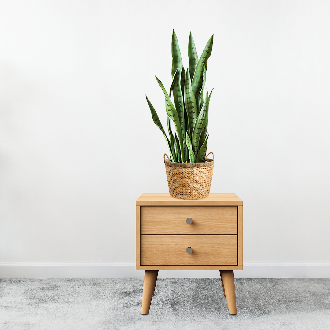 Artificial Sansevieria Snake Plant