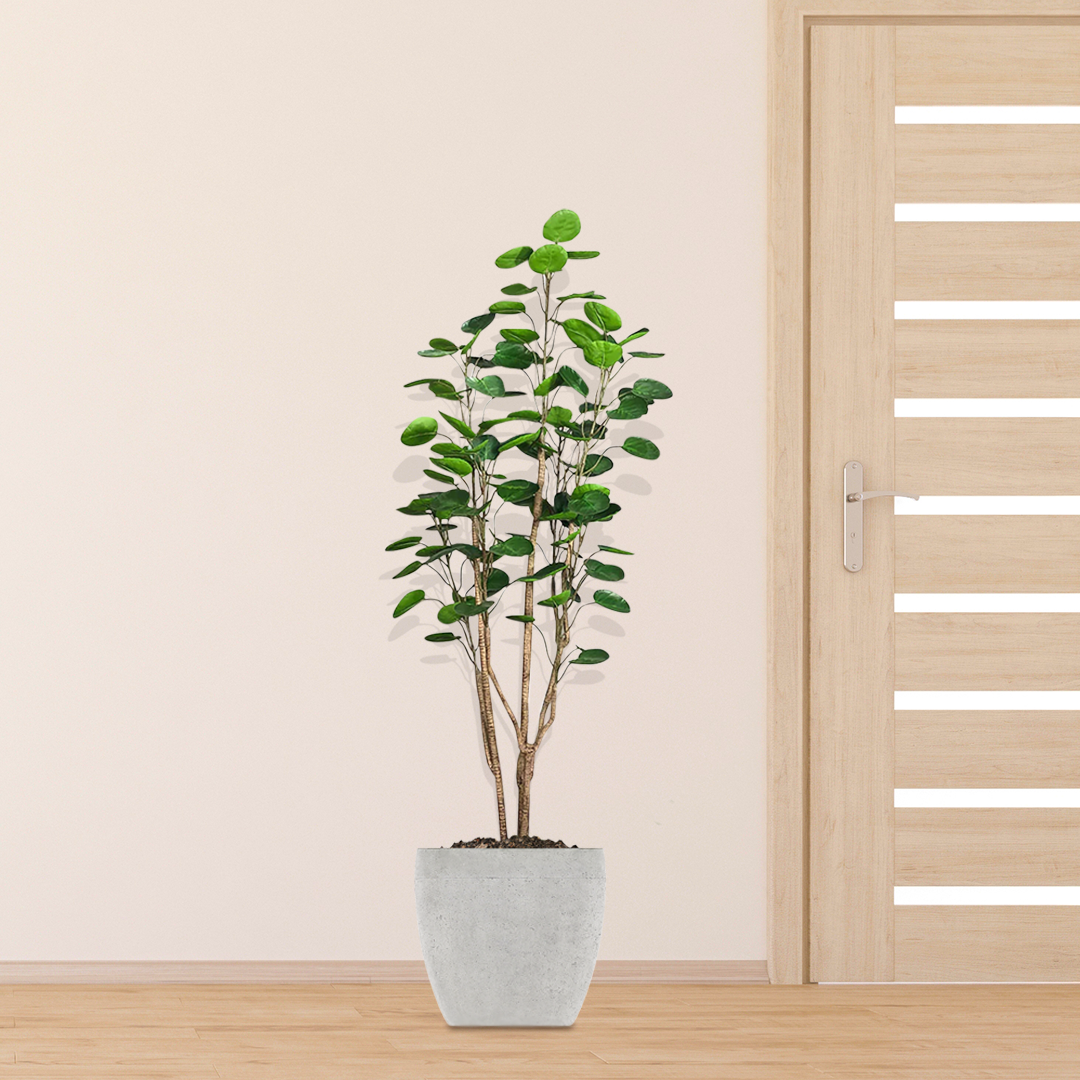 SOGA 150cm Plastic Potted Polyscias Scutellaria Plant Home Garden Artificial Tree, Home Decor