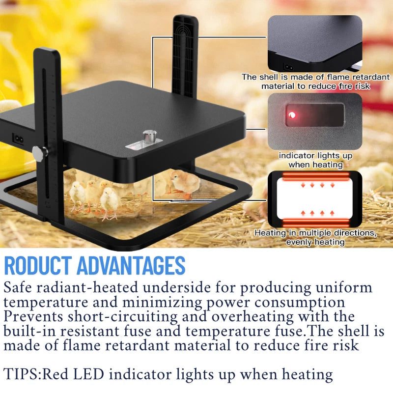 Chick Heating Plate