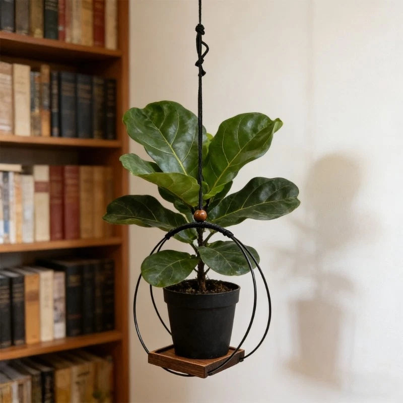 Hanging Planter Base