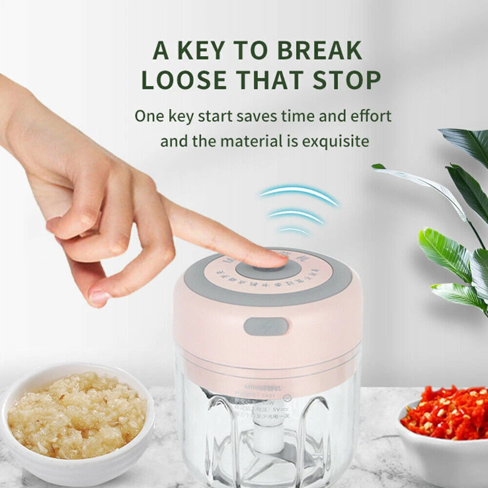 Mini Electric Grinder